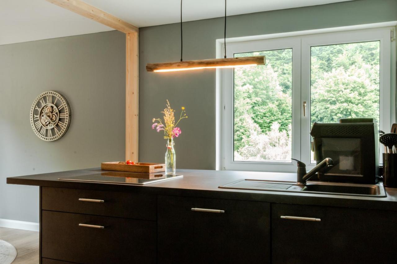 Harzfalke Apartment - Ankommen Und Wohlfuehlen. Wieda ภายนอก รูปภาพ